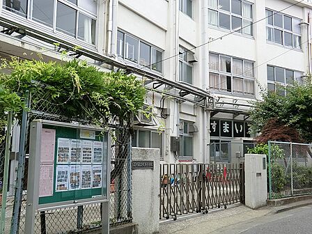 小学校 500m 品川区立鮫浜小学校