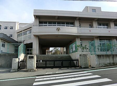 小学校 450m 横浜市立さちが丘小学校