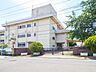 周辺：中学校 1300m 相模原市立麻溝台中学校