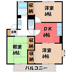 ネオ・アヴァンセ五代 壱番館 1階/-
