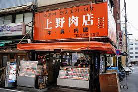 画像19:【その他】上野肉店まで1623ｍ