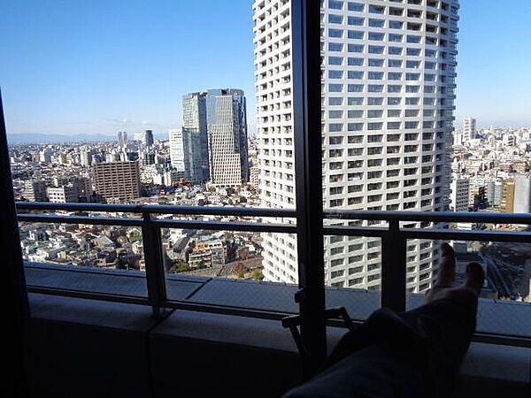 コンシェリア西新宿　TOWER’S WEST ｜東京都新宿区西新宿6丁目(賃貸マンション1LDK・19階・55.11㎡)の写真 その11