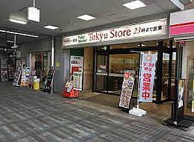 ディームス品川戸越II  ｜ 東京都品川区東中延1丁目（賃貸マンション1LDK・10階・41.94㎡） その19