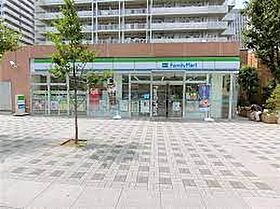 品川シーサイドビュータワーII  ｜ 東京都品川区東品川4丁目（賃貸マンション1R・10階・42.38㎡） その18