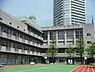 周辺：【小学校】中央区立月島第二小学校まで1035ｍ