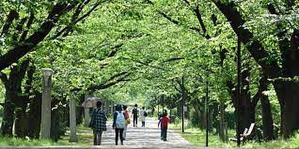 画像25:【その他】辰巳の森緑道公園まで1961ｍ