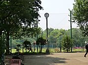 羽根木公園