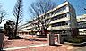 周辺：三宿中学校