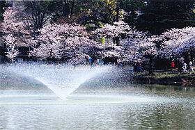 フジパレス帝塚山I番館  ｜ 大阪府大阪市住吉区万代東2丁目（賃貸アパート1LDK・2階・33.30㎡） その12