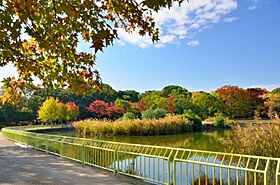 La・Liberta長居公園  ｜ 大阪府大阪市住吉区長居東4丁目（賃貸マンション1K・3階・22.27㎡） その9