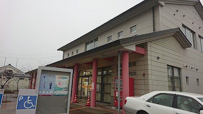 Image 7
