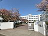 周辺：高槻市立柳川中学校