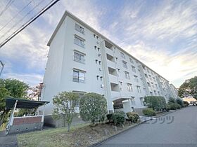 山田池住宅11号棟  ｜ 大阪府枚方市田口山1丁目（賃貸マンション2LDK・4階・46.77㎡） その12