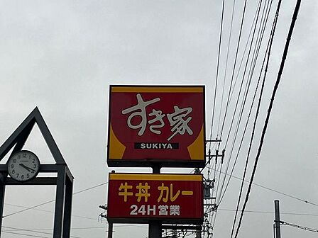 すき家 一宮中島通店 590m