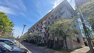 外観:管理の行き届いた、清潔感のあるマンション外観。 外観:管理の行き届いた、清潔感のあるマンション外観。