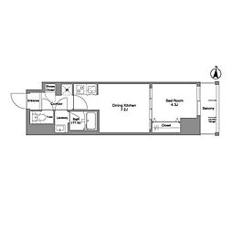 Daffitto錦糸町 1DKの間取図画像
