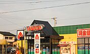 ヤマダ電機