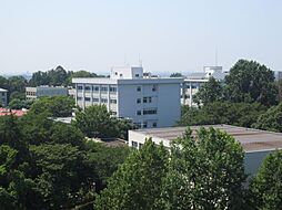 [周辺] その他「千葉大学松戸キャンパスまで3800m」0