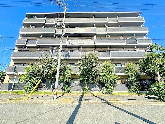 3 / 14