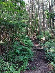 売土地　富士市大淵