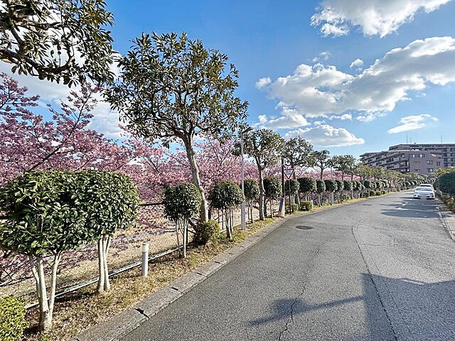 その他 サニークレスト稲毛 4階/-