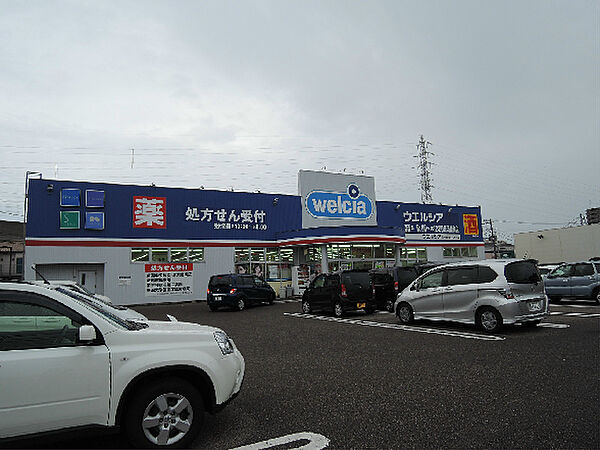 画像22:ウエルシア 新潟新和店（95m）