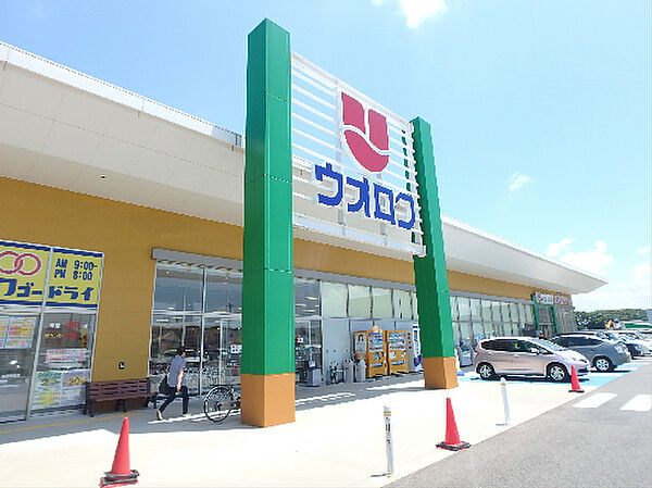 画像15:ウオロク 鳥屋野南店（179m）