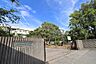 周辺：新潟市立東中野山小学校（850m）