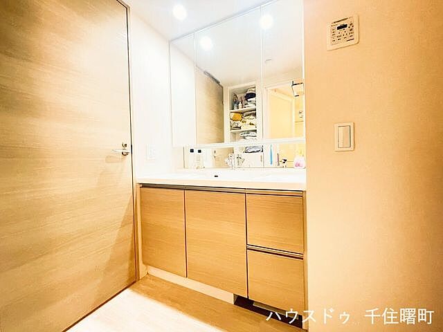 洗面 ブリリア草加グランスイート 10階/-