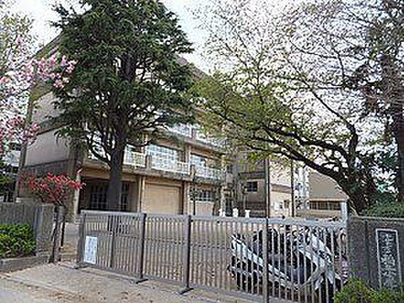 稲丘小学校 3...