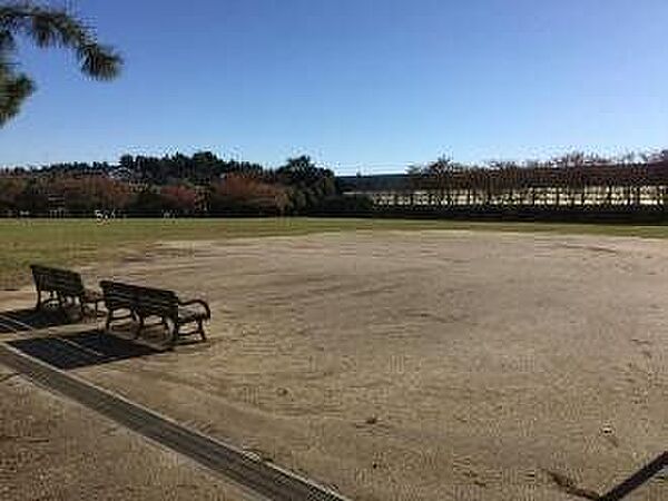 周辺を拡大表示