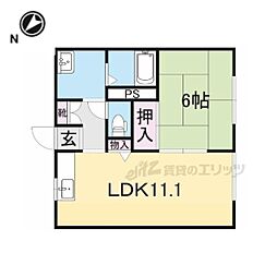 レオーネ