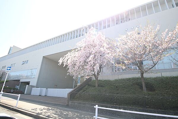 Ns21やごと B305｜愛知県名古屋市昭和区滝川町(賃貸マンション3LDK・3階・90.70㎡)の写真 その18