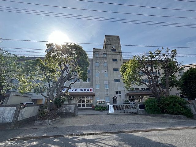 周辺 ウィズ松戸見晴らしの丘 8階/-