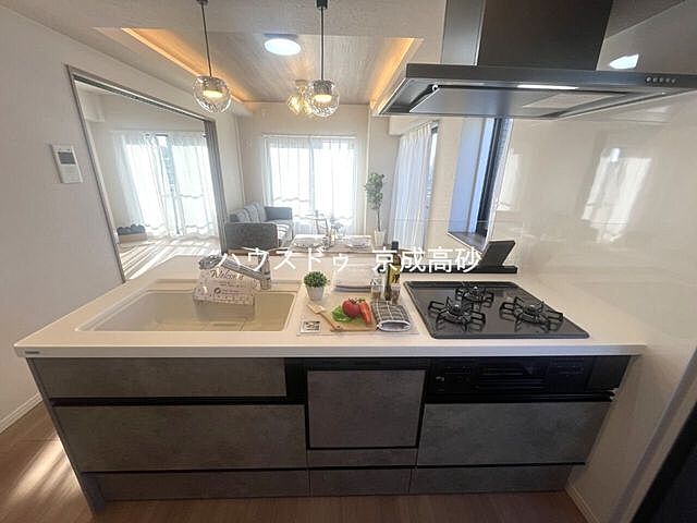 キッチン レクセル青戸 5階/-