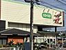 周辺：コープみらいコープ亀有店 300m