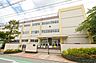 周辺：葛飾区立小松南小学校 280m