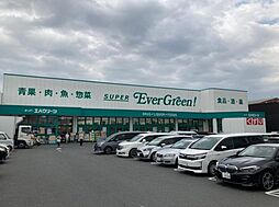 コート　アプルーバル　ネオ