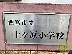 シエルフローラ  ｜ 兵庫県西宮市上ケ原三番町63-8（賃貸アパート1LDK・2階・37.81㎡） その13