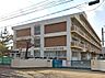 周辺：蒲町小学校 700m