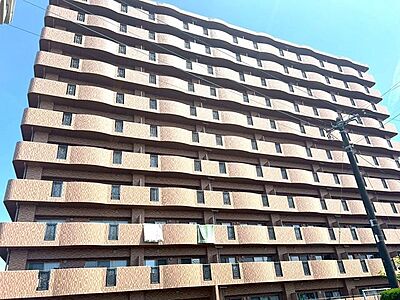 外観 外観