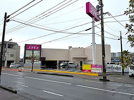 コスモス宮崎元宮店 1010m