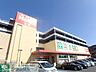 周辺：島忠ホームズ新川崎店 徒歩14分。ホームセンター 1080m