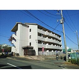 アイリス