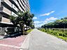 その他：現地前面道路