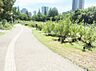 周辺：靱公園（559m）