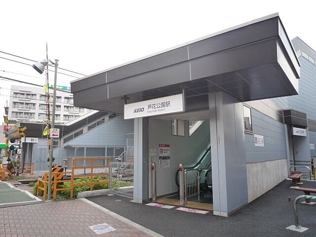 周辺