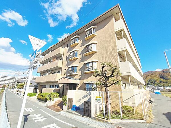 ビューハイム茶の木 ｜大阪府八尾市恩智南町2丁目(賃貸マンション3DK・3階・57.00㎡)の写真 その1