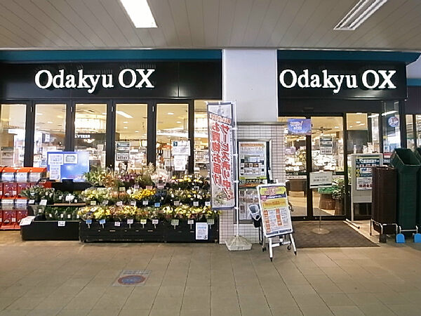 画像21:Odakyu OX 梅ヶ丘店（428m）