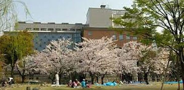 リビオメゾン日本橋浜町公園 ｜東京都中央区日本橋浜町2丁目(賃貸マンション1K・2階・25.01㎡)の写真 その17